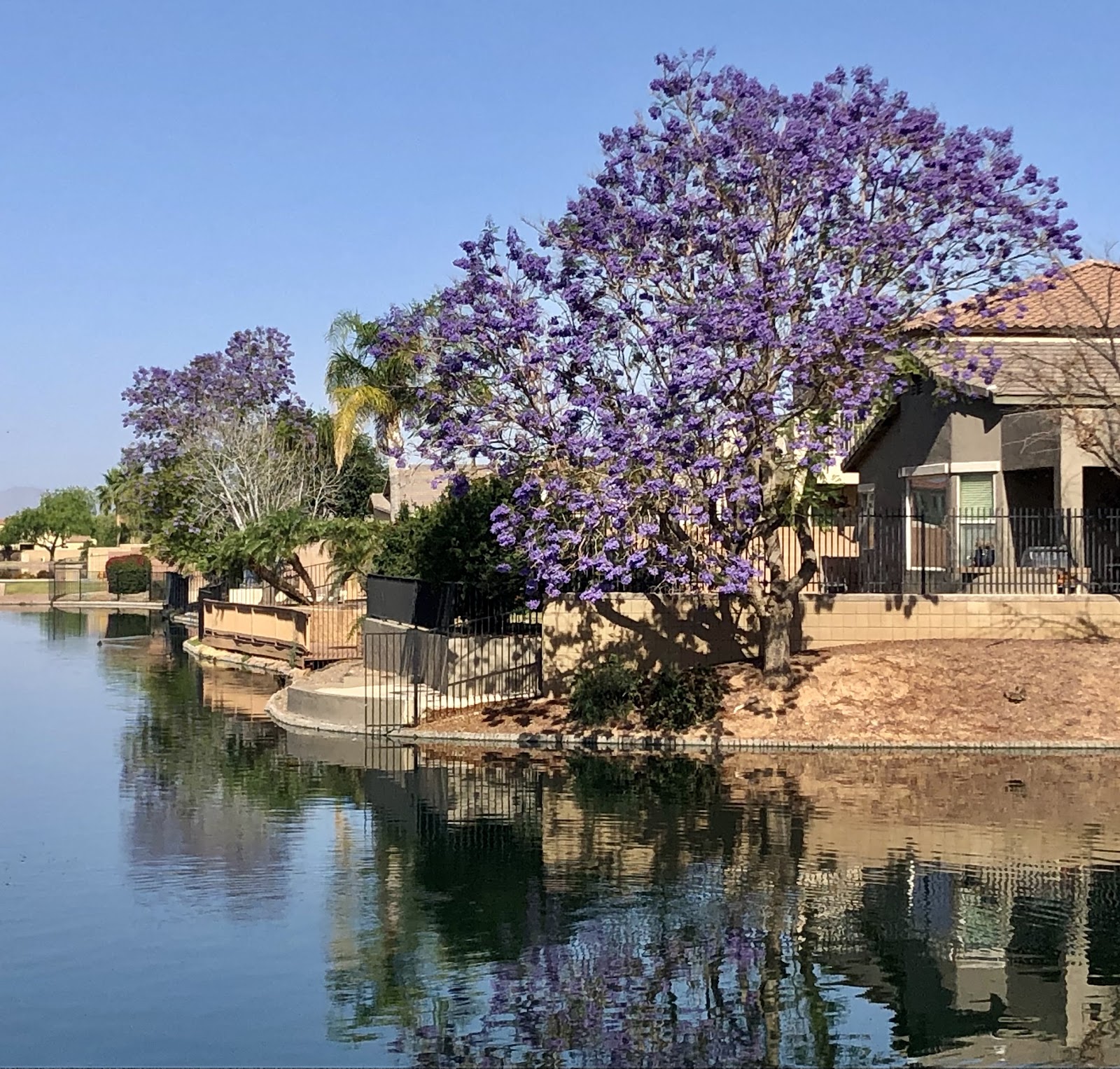 Chandler small businesses