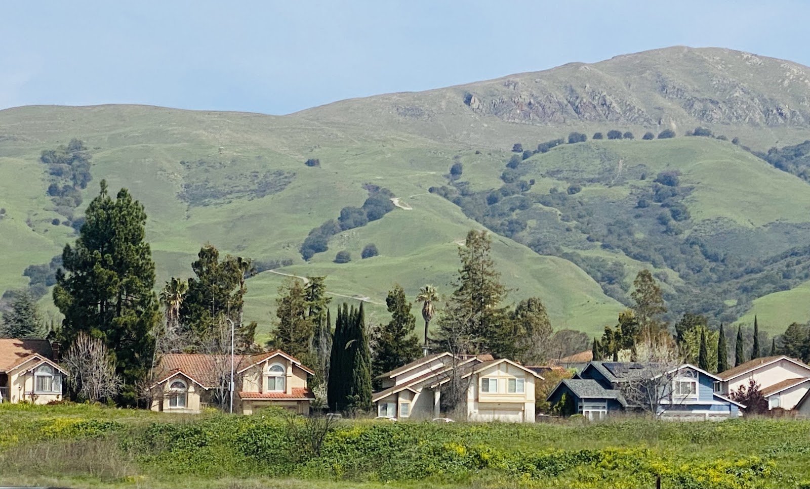 Fremont small businesses