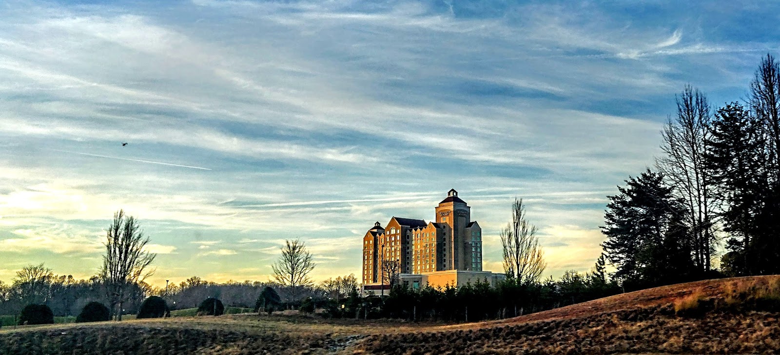 Greensboro small businesses