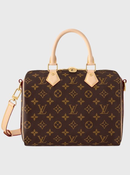 Louis Vuitton — Vue 6 Louis Vuitton — Vue 6
