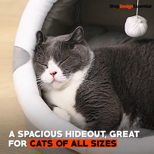 Cat Bed with Non-toxic Material