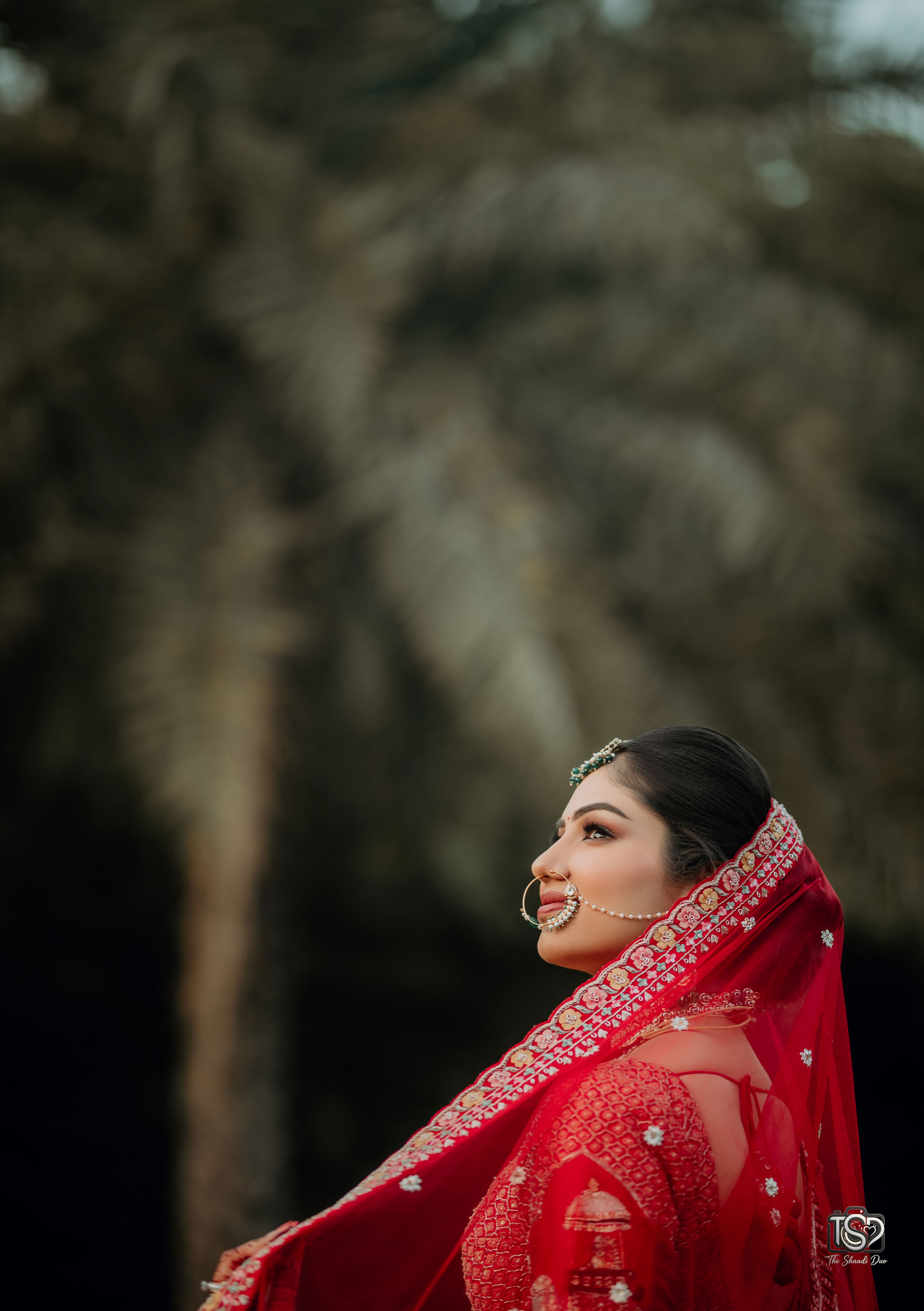 Ansh Pant portfolio content 5