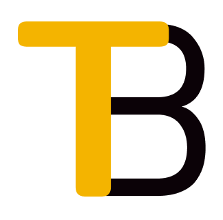 Tint Bolt logo