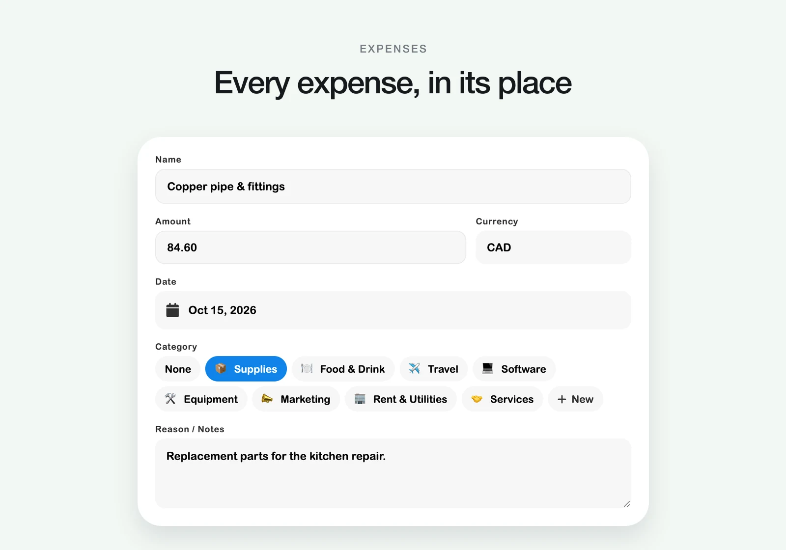 An expense with amount, currency, date, category and notes.