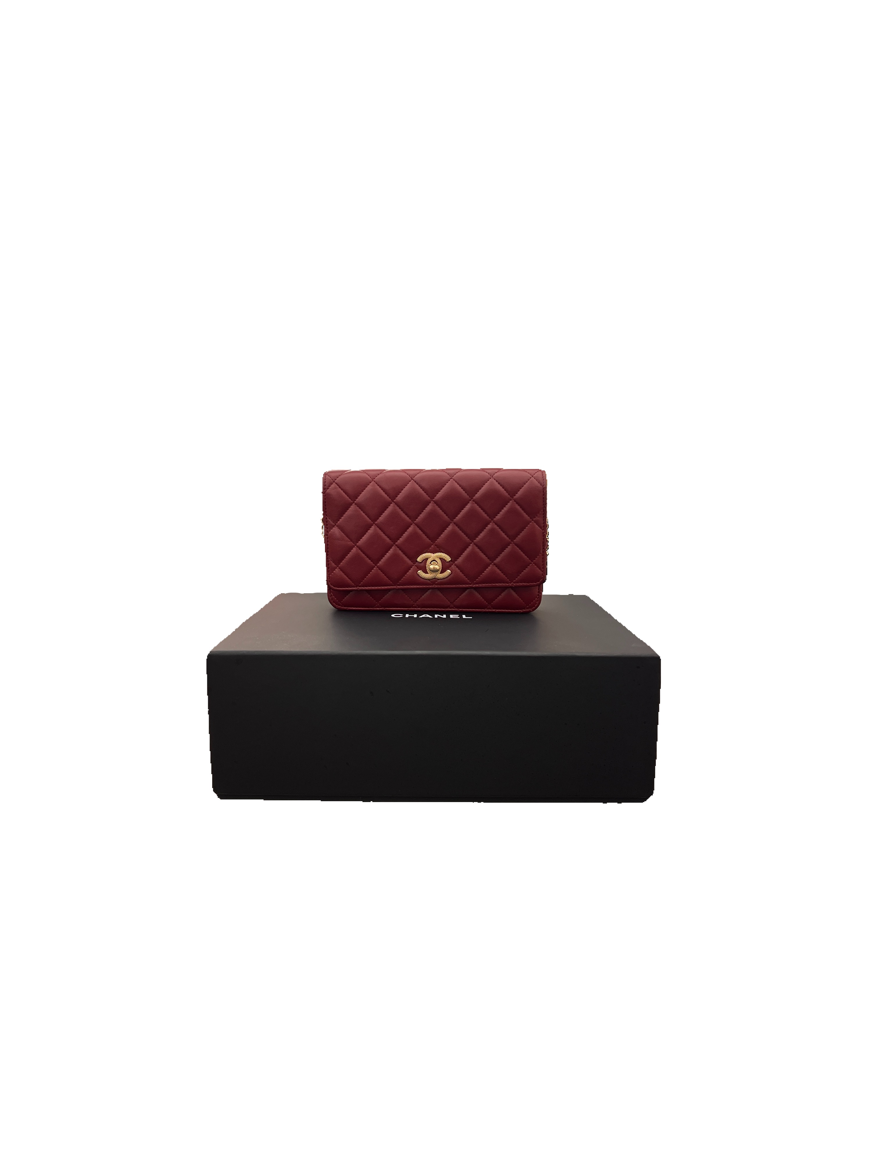 Chanel Quilted Lambskin Wallet on Chain