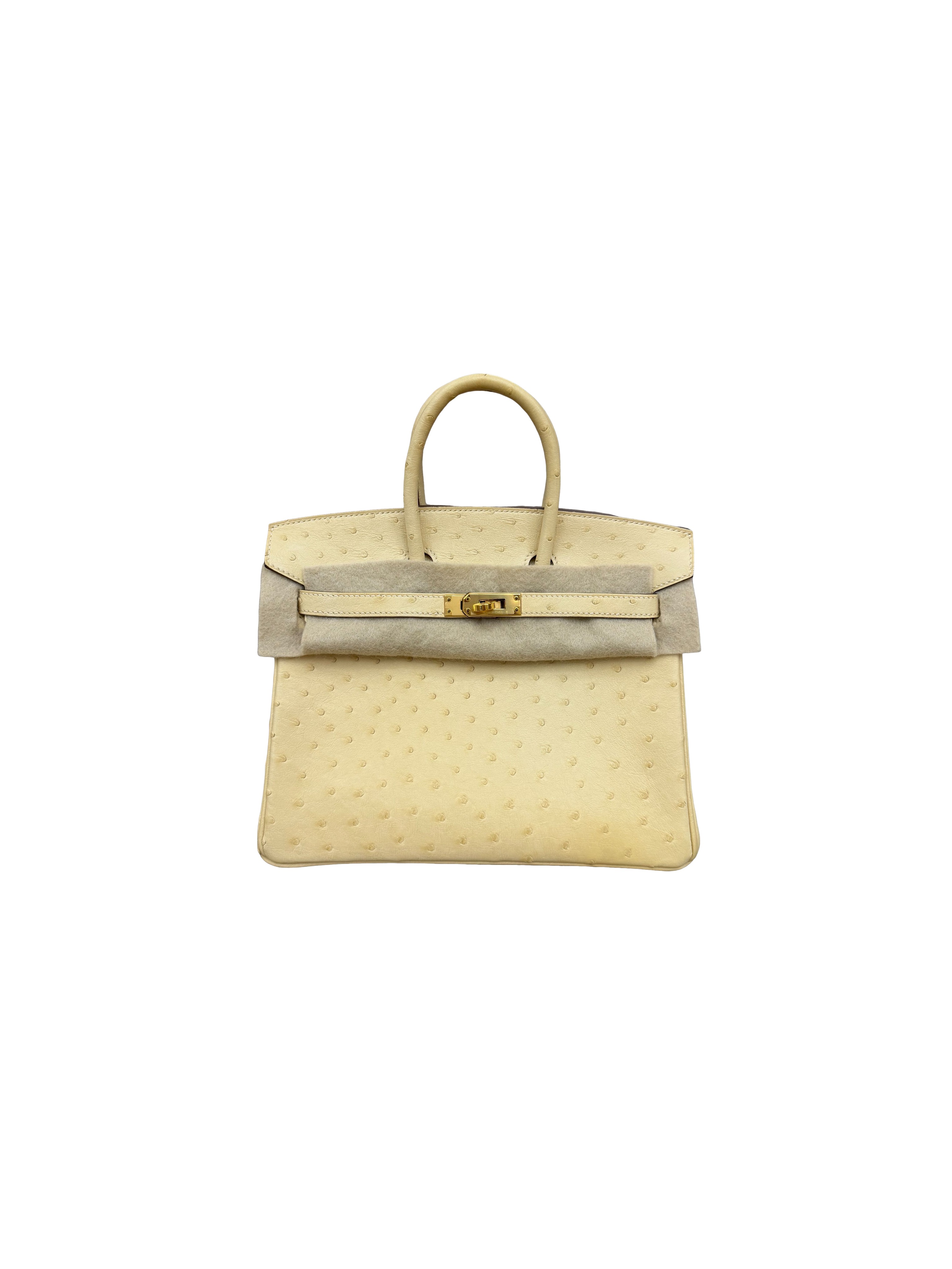 Hermès Birkin 25 Ostrich Boreale Vanille U Stamp