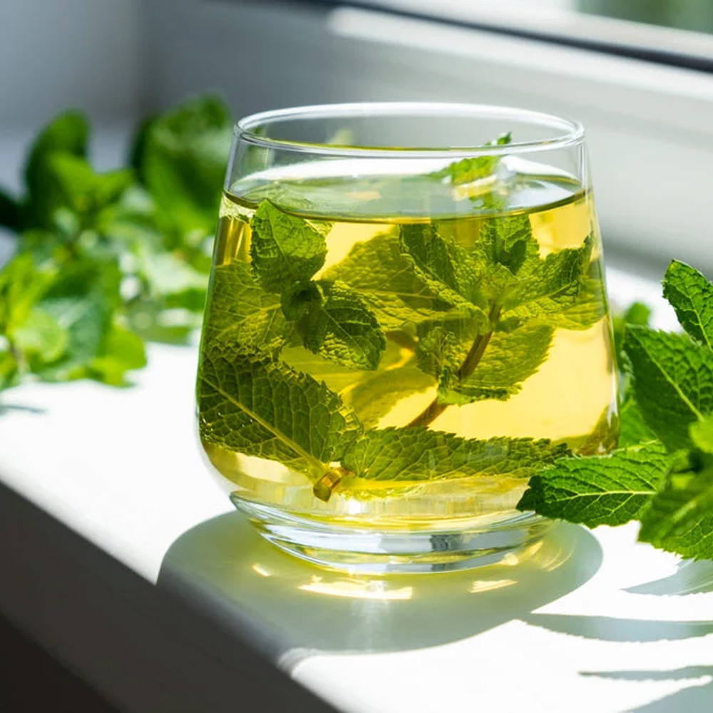 Hot Water/ Mint