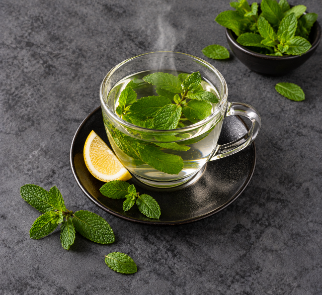 Hot Water w/ Mint