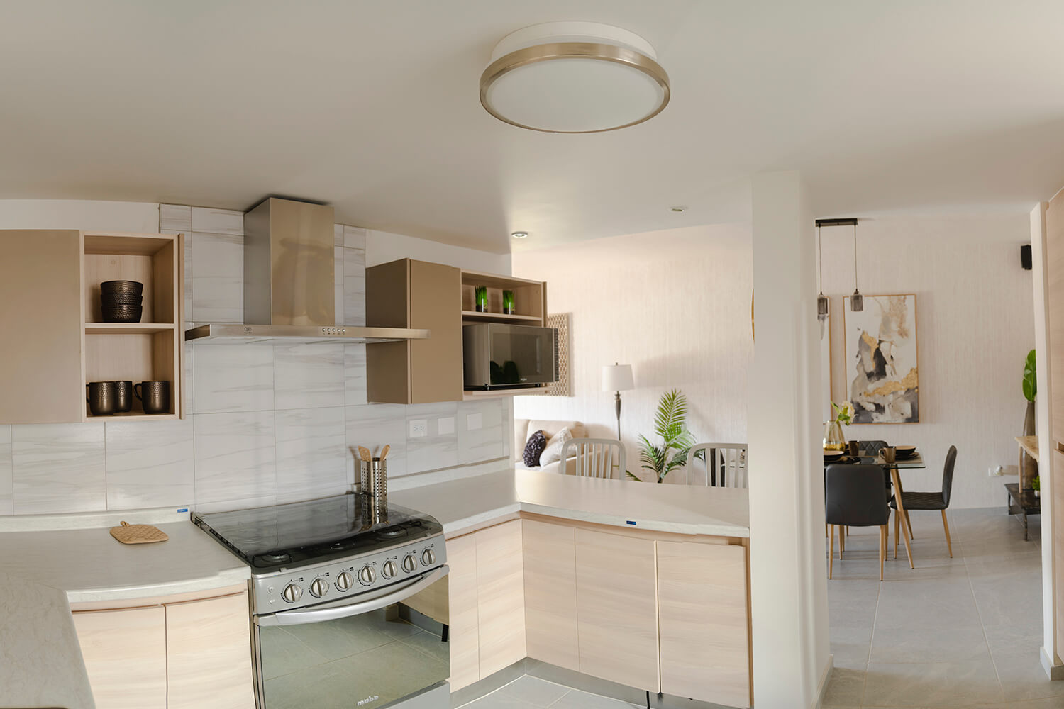 Vi%C3%B1edos-Residencial-santa-claudia-cocina