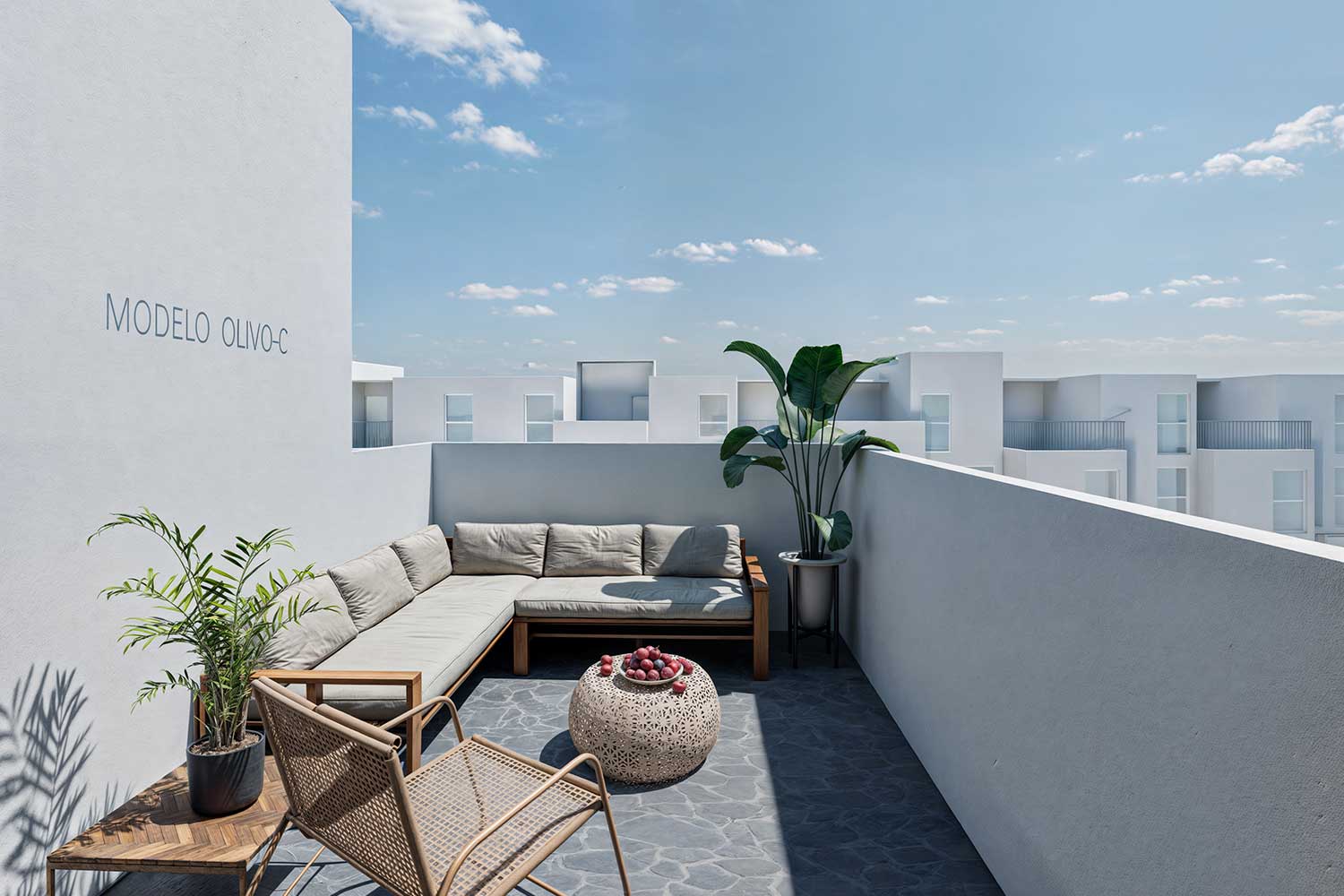 roof-garden-modelo-olivo-c