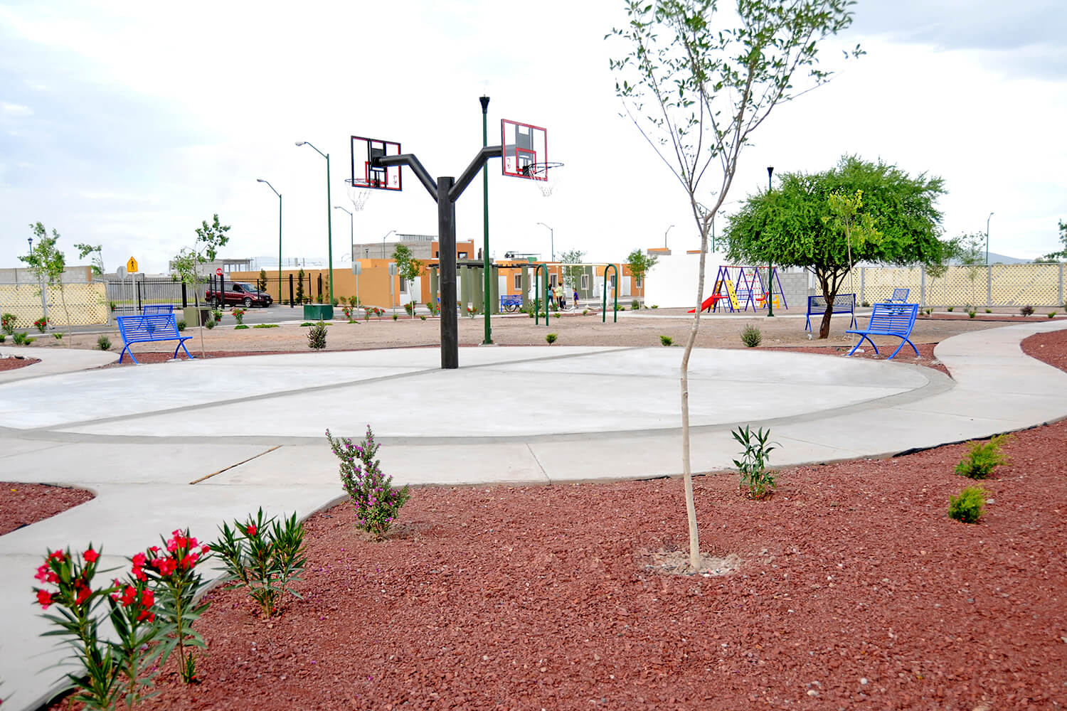 cerrada-girasoles-canchas