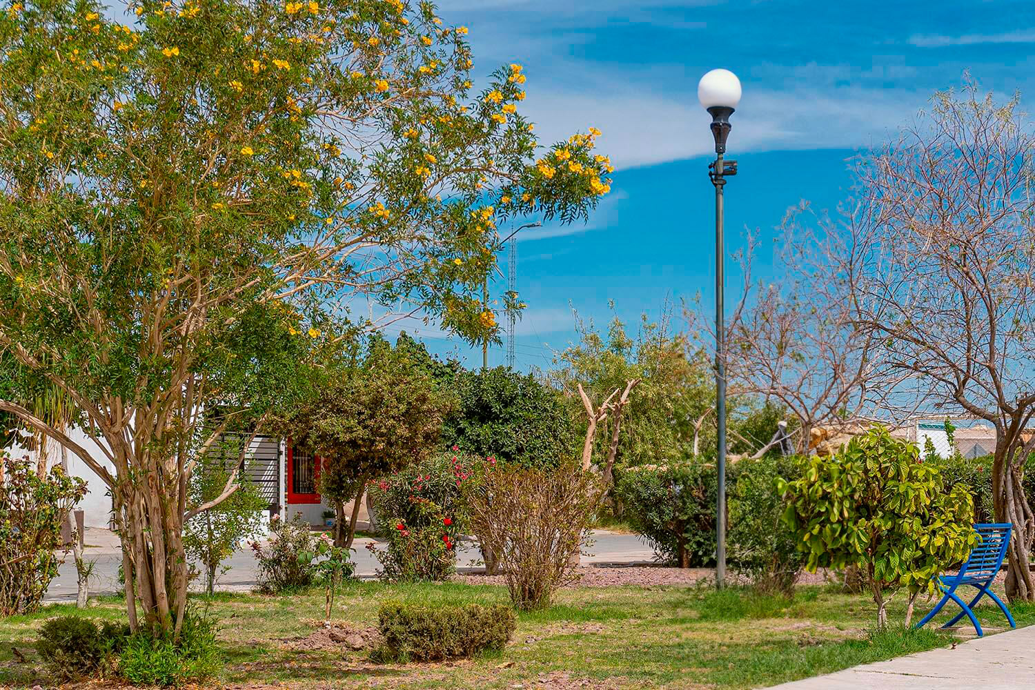 Área Verde