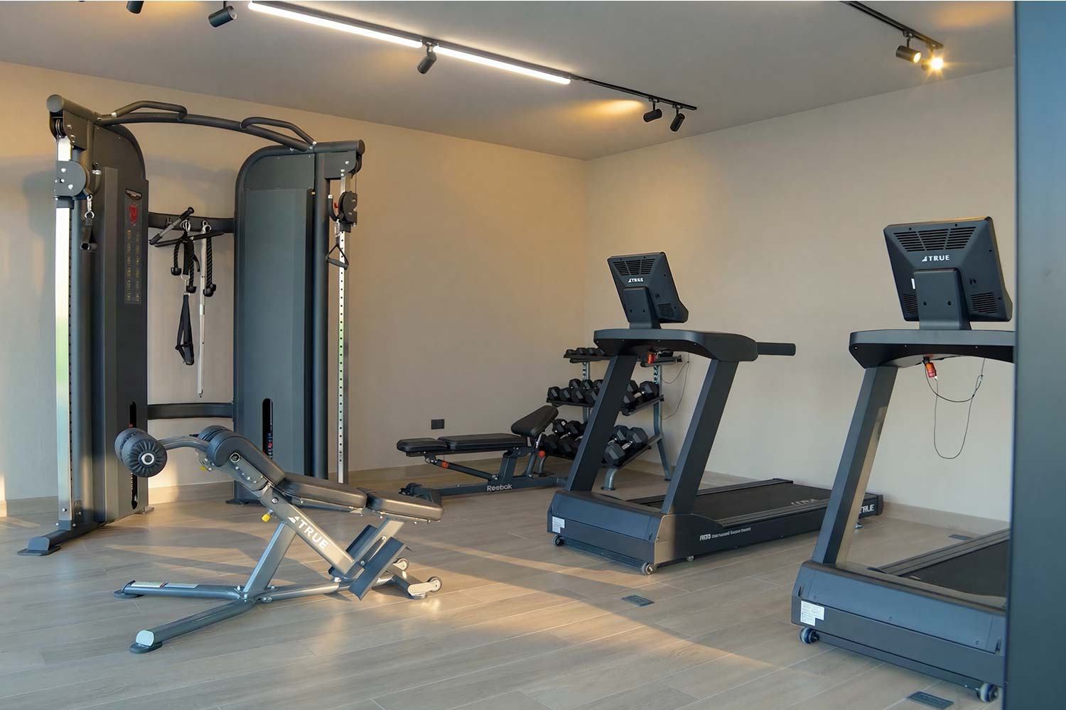 Gimnasio