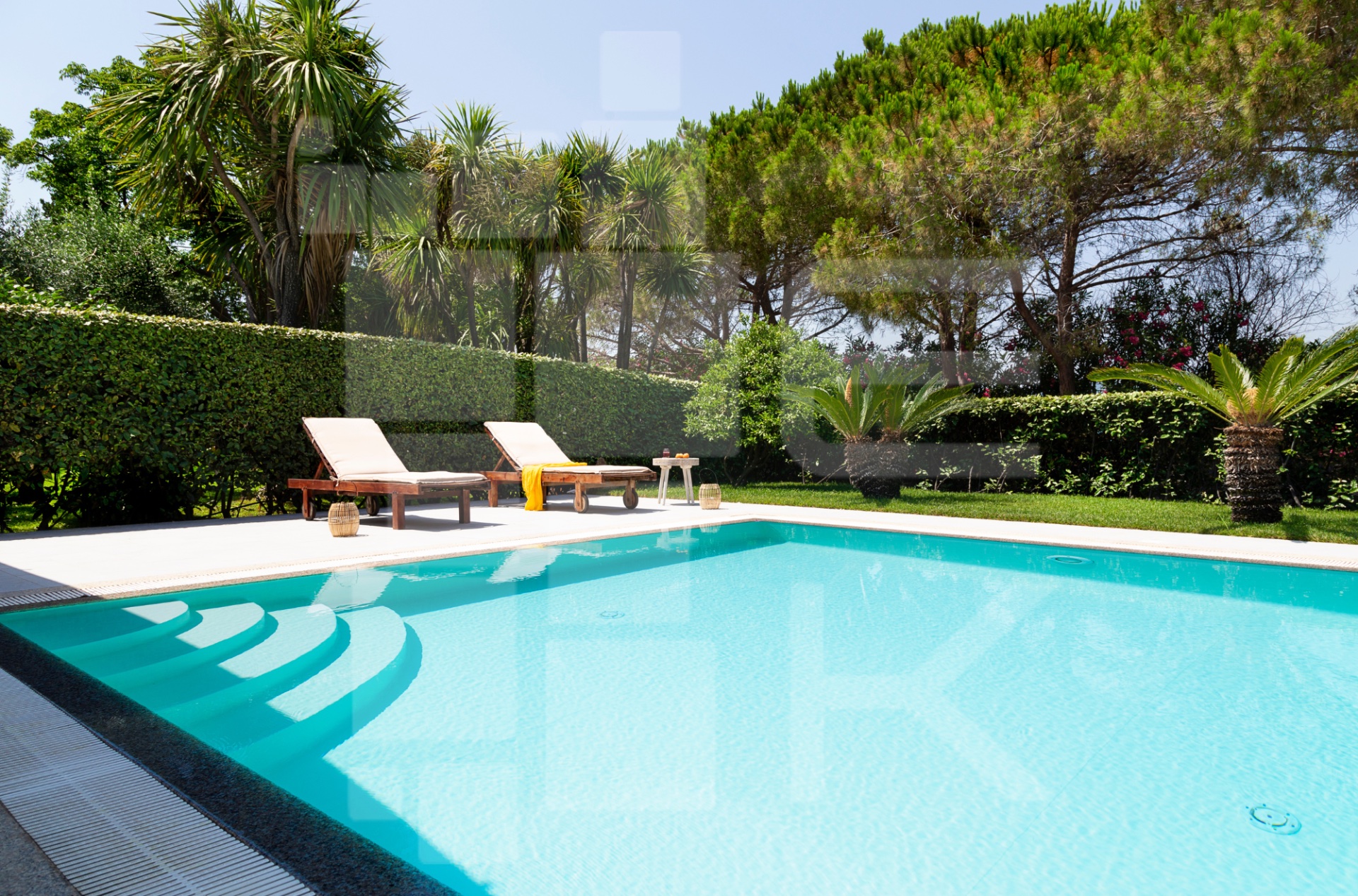 Villa Mimosa a Coda Cavallo a due passi dal mare  6