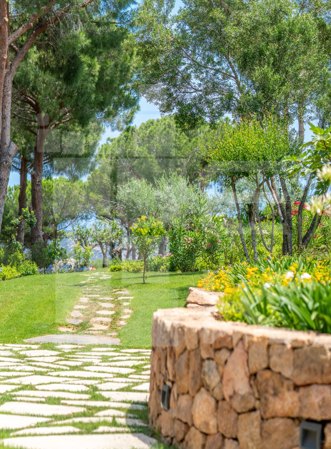 Cottage Farfalla a Coda Cavallo con spiaggia privata 6