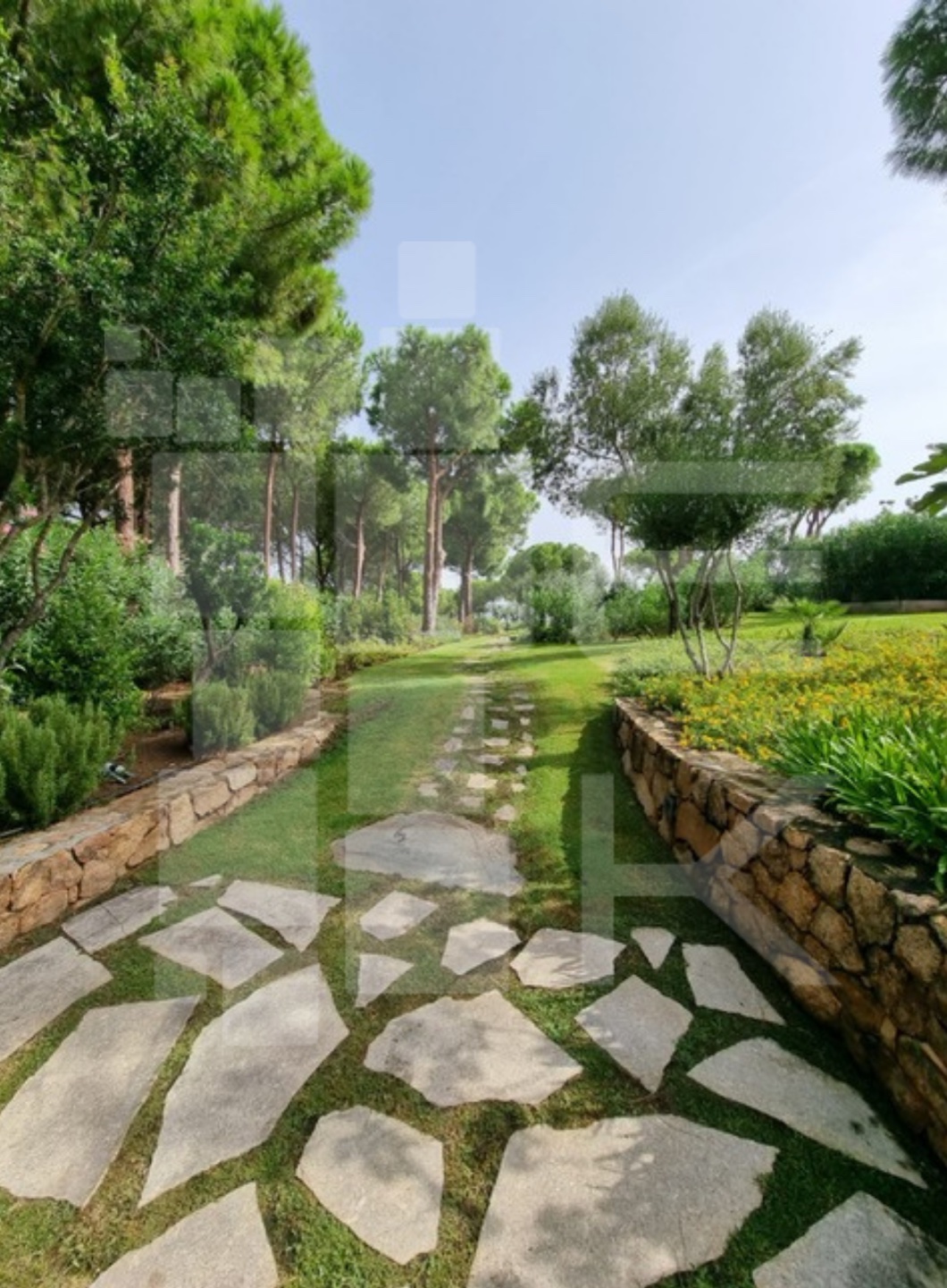 Cottage Farfalla a Coda Cavallo con spiaggia privata 7