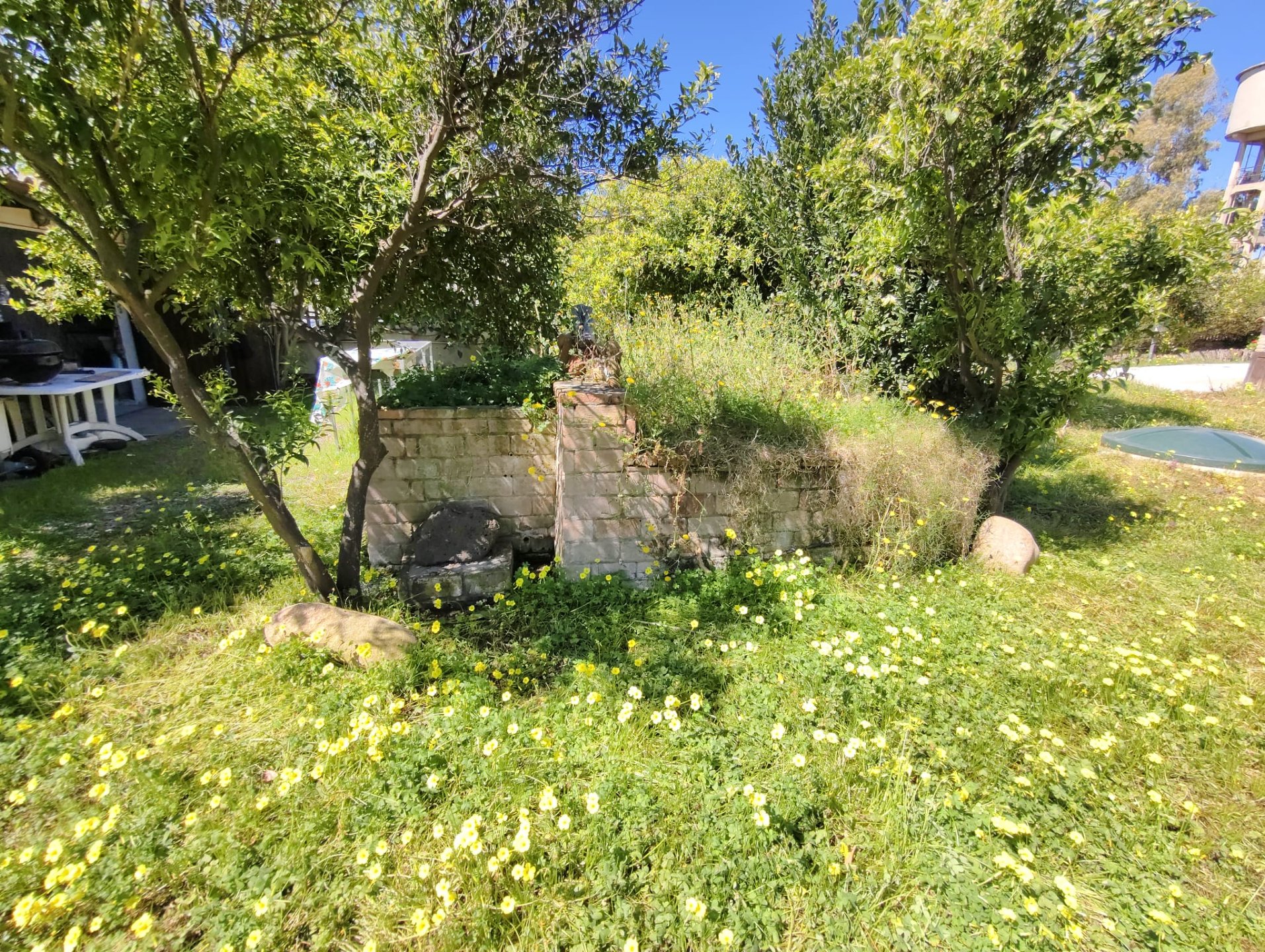 Villa a Quartu Sant'Elena in Vendita con giardino 9