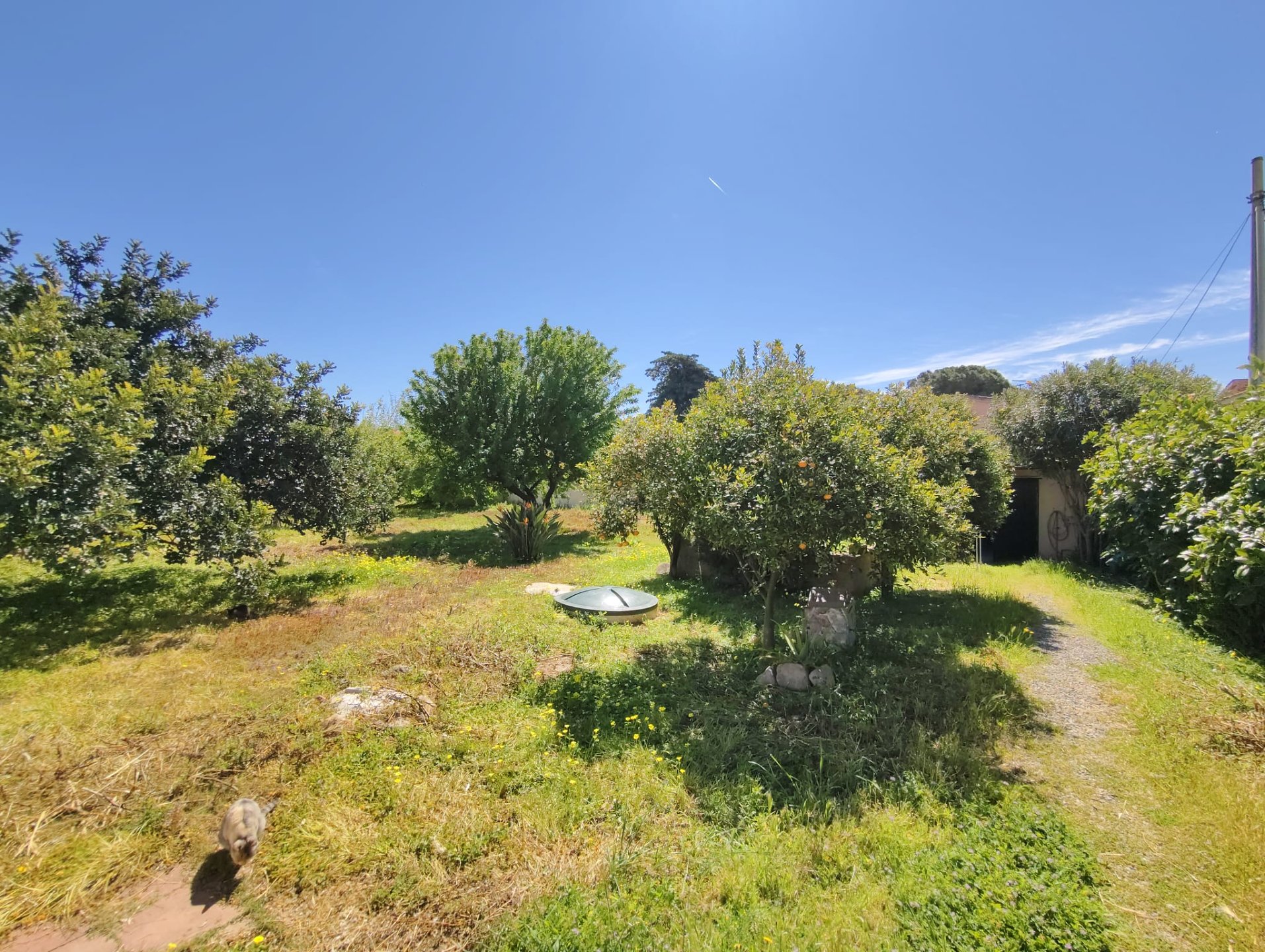 Villa a Quartu Sant'Elena in Vendita con giardino 11