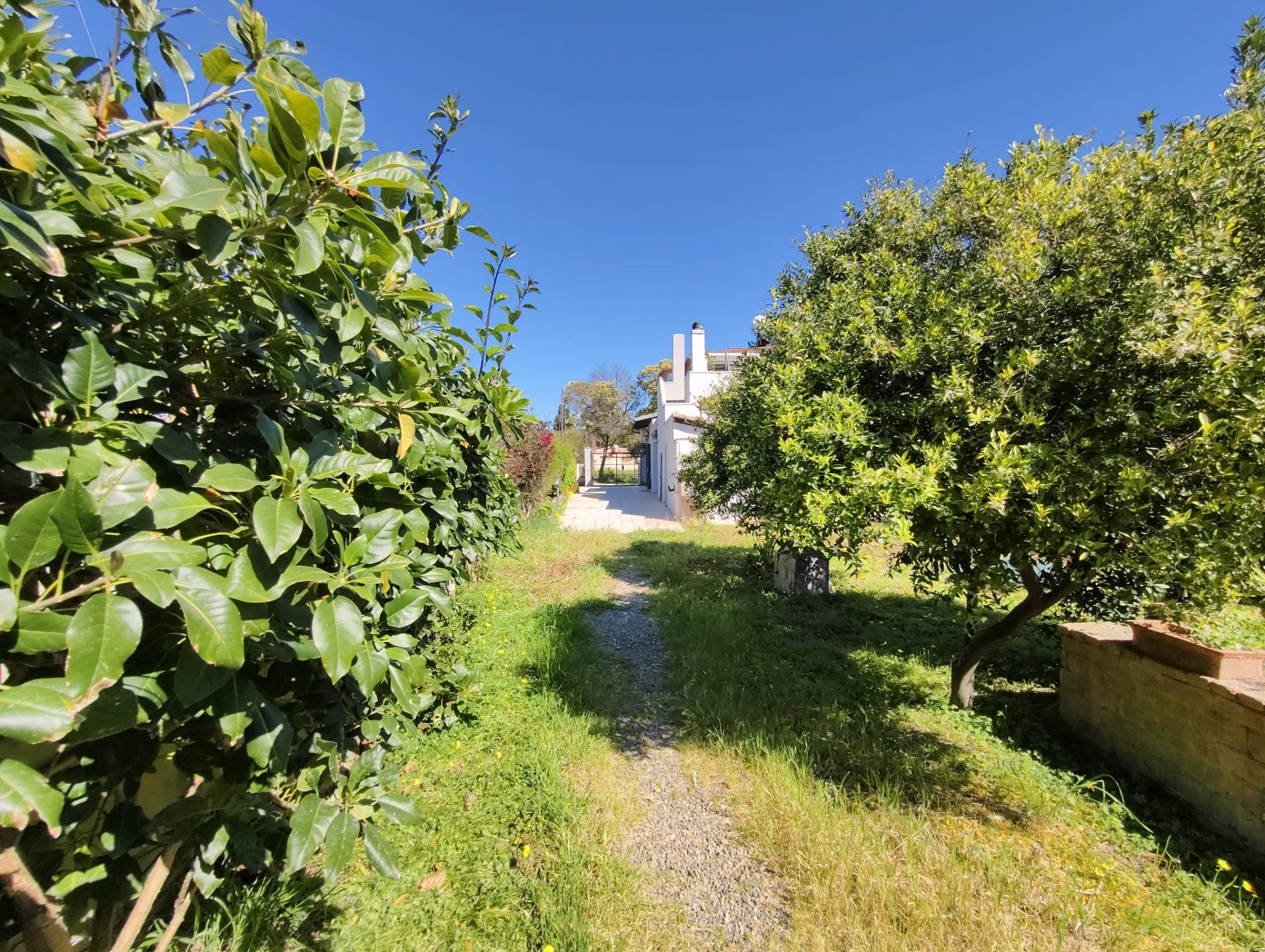 Villa a Quartu Sant'Elena in Vendita con giardino 14
