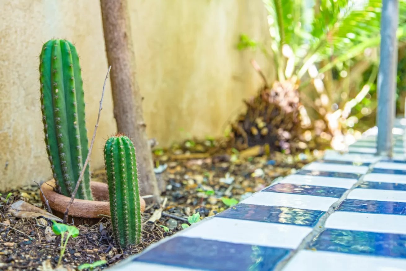 Casa Silvia Marina - Cala Gonone 6