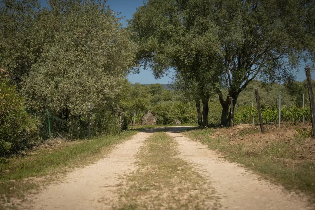 Country House Muristene - Asfodelo 16