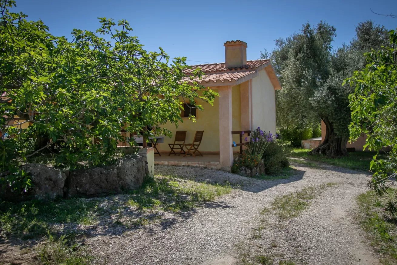 Country House Muristene - Asfodelo 17