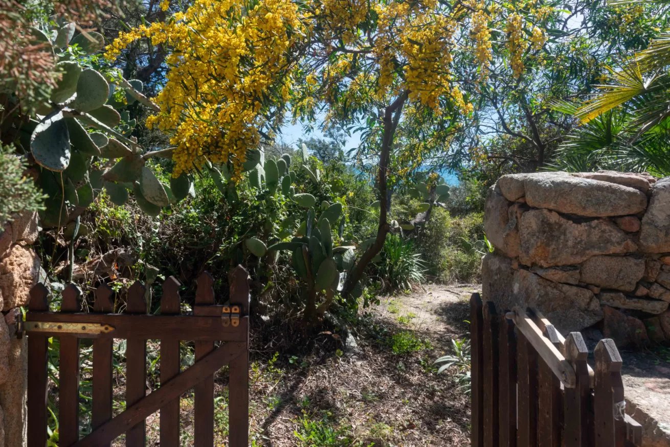 Porto corallo Sea Front 14