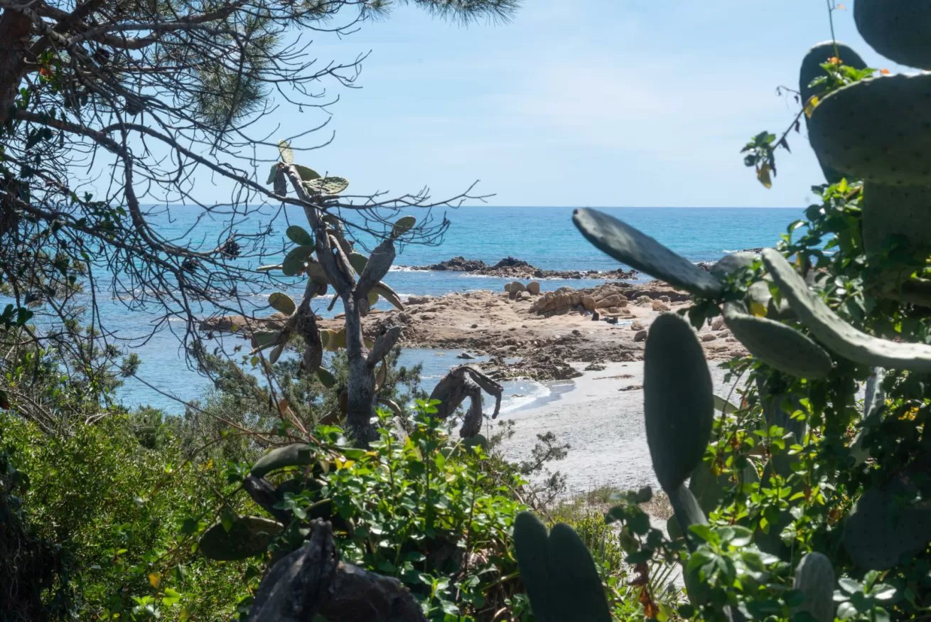 Porto corallo Sea Front 20