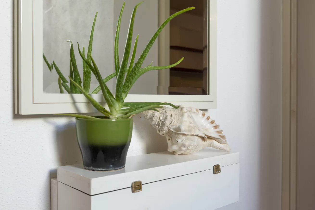 Cozy apartment Pranos - Cala Gonone 24