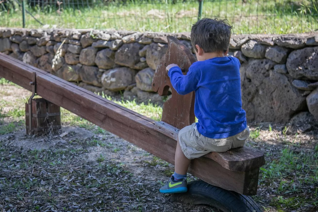 Country house Murtisene - Iris 3