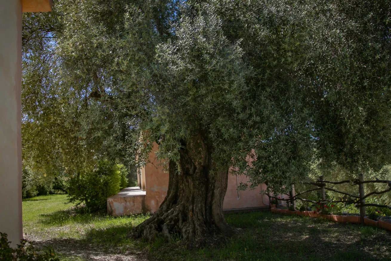 Country house Murtisene - Iris 14