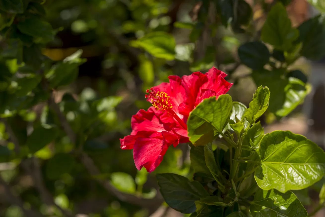 Riflessi sul mare vista mare 11