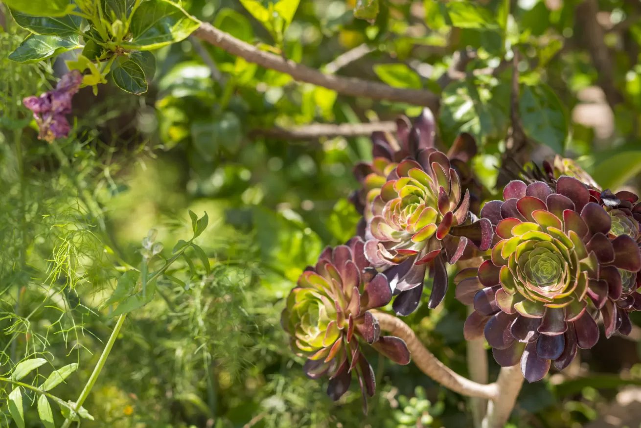 Riflessi sul mare vista mare 12