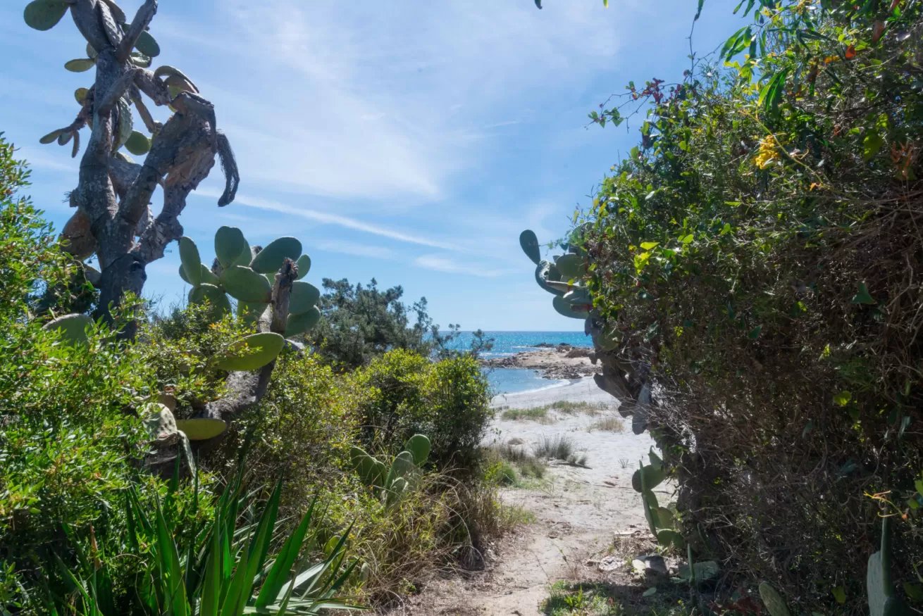 La casa sul mare - Cala Liberotto 7
