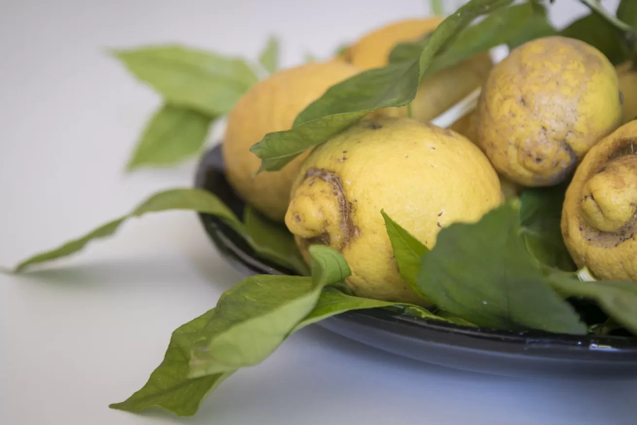 Green and Blue - Cala Gonone 11