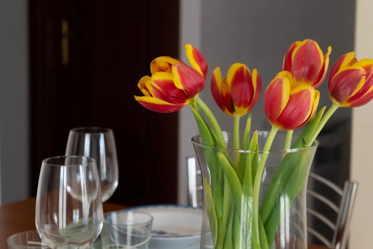 Riflessi sul mare - trilo 5