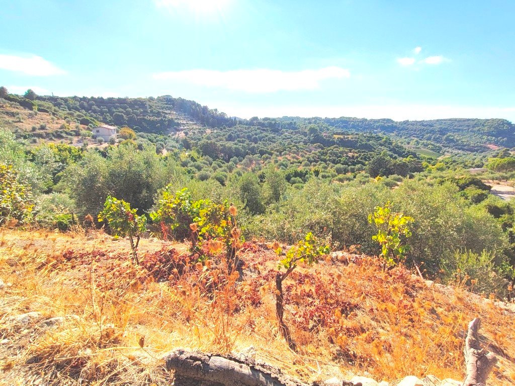 Villa a Magomadas in Vendita con giardino 7