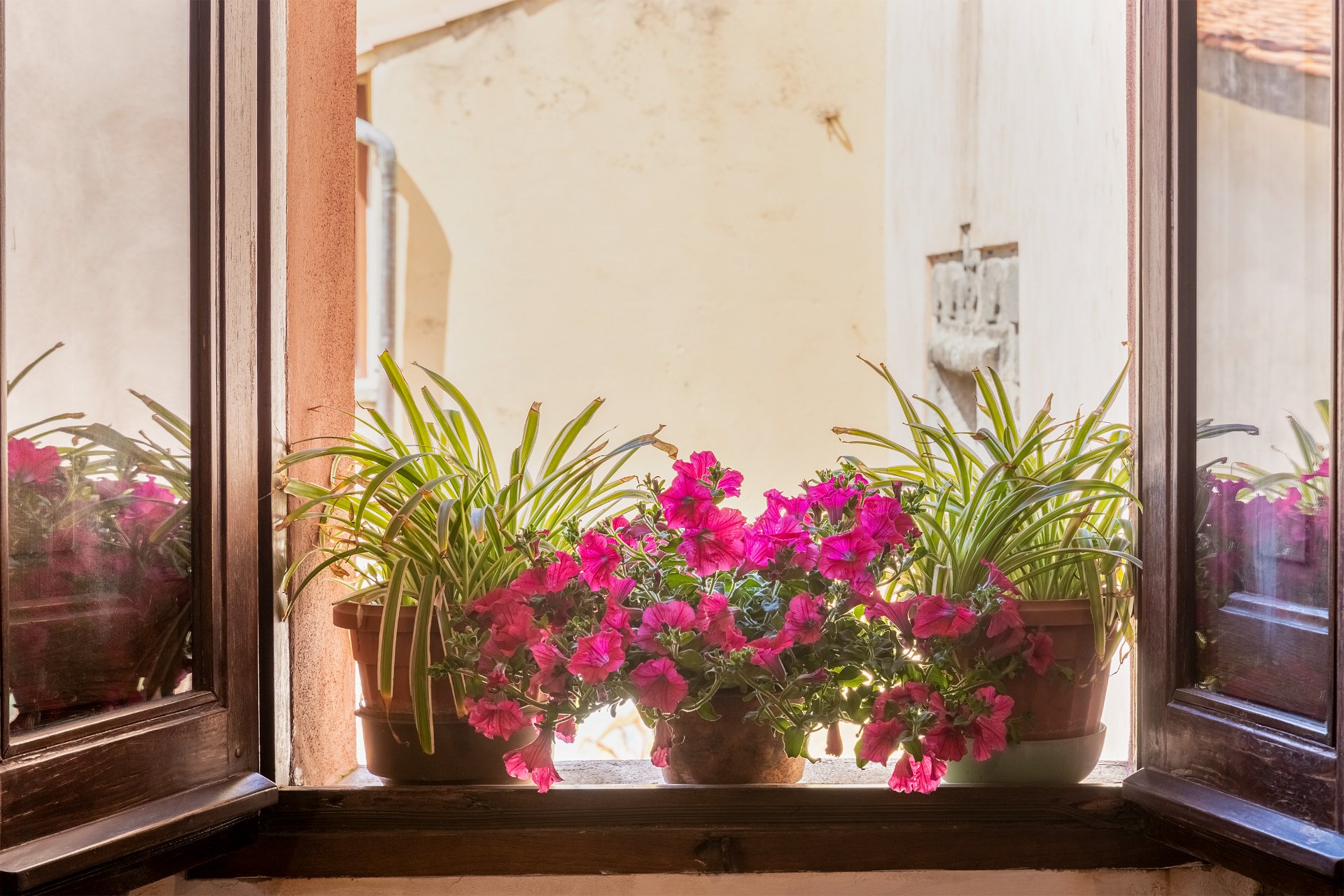 Appartamento Storico a Santu Lussurgiu 28