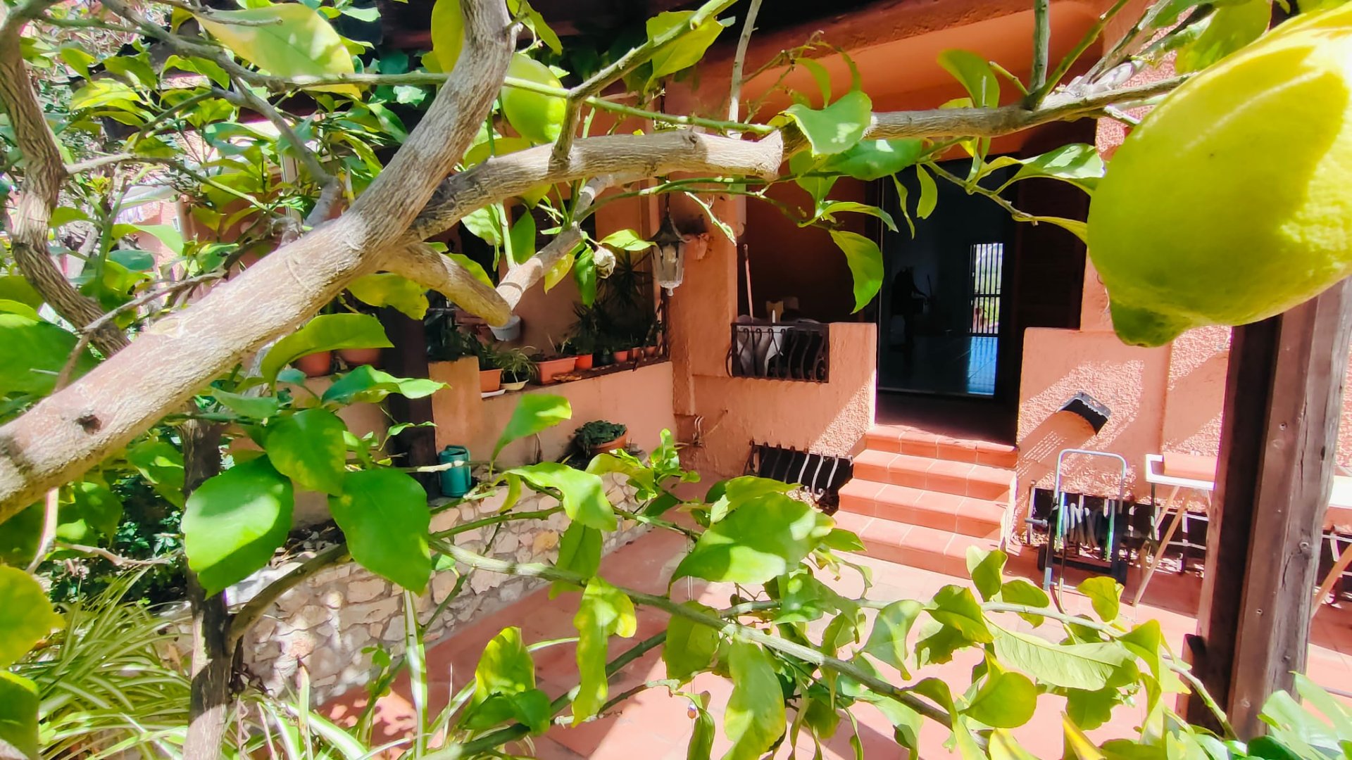 Capo Schiera  a Maristella  2