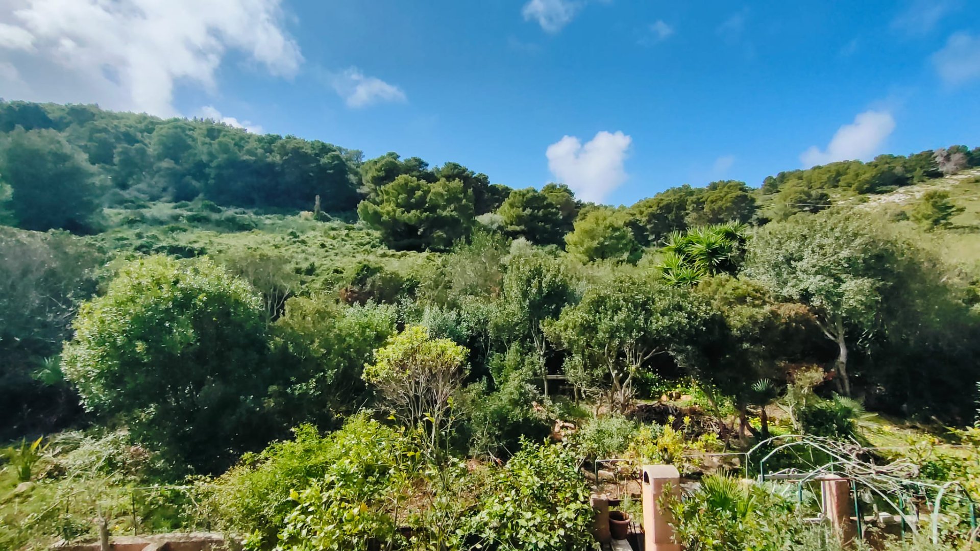 Capo Schiera  a Maristella  9