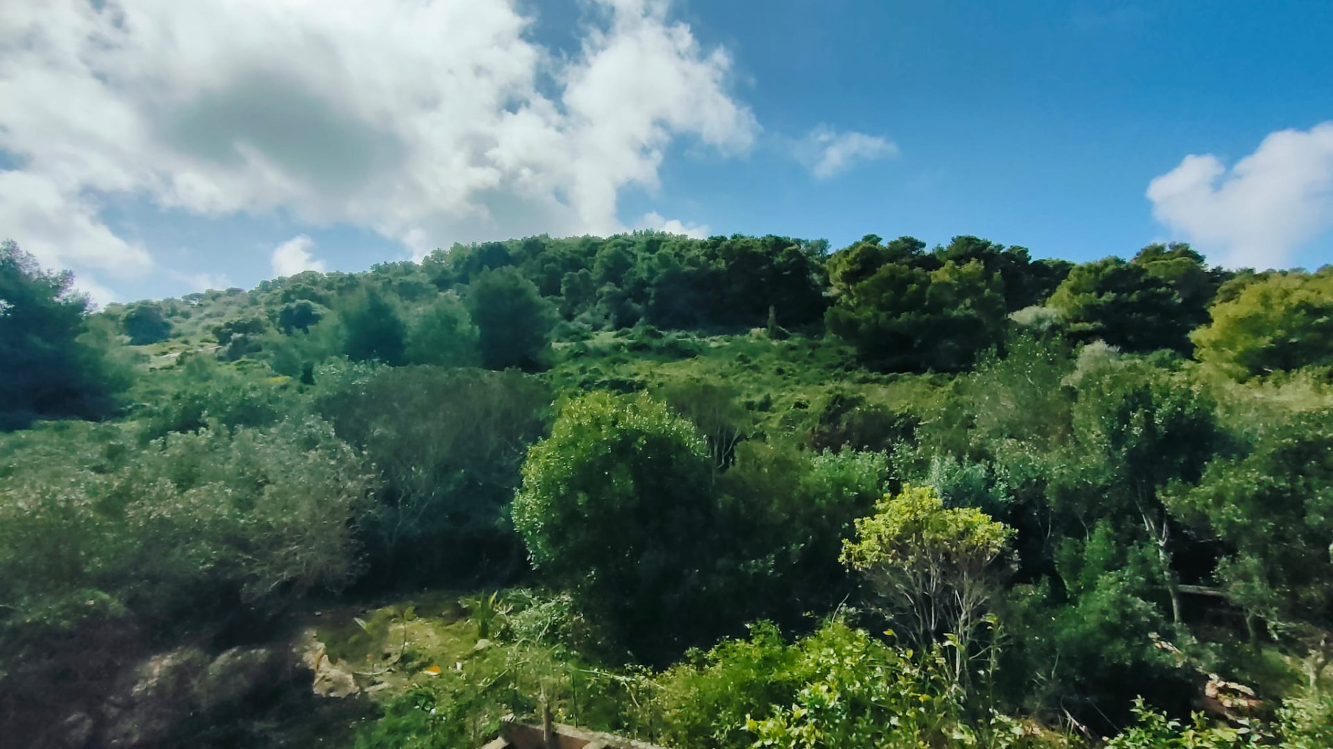 Capo Schiera  a Maristella  11