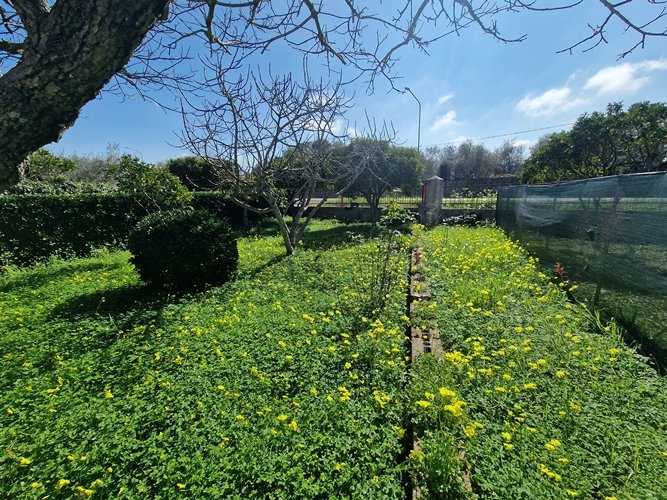 Bancali (SS) Villa Indipendente  2