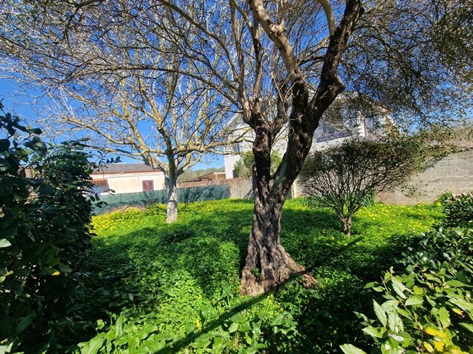 Bancali (SS) Villa Indipendente  29