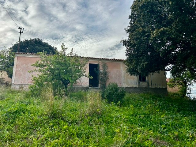 Due Stazzi Galluresi con Lecci Secolari e Vista Collinare – A 20 min da Olbia 4
