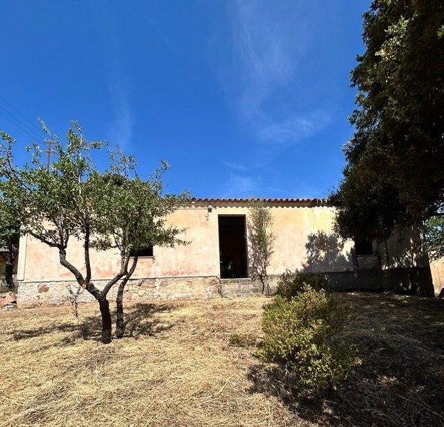Due Stazzi Galluresi con Lecci Secolari e Vista Collinare – A 20 min da Olbia 2
