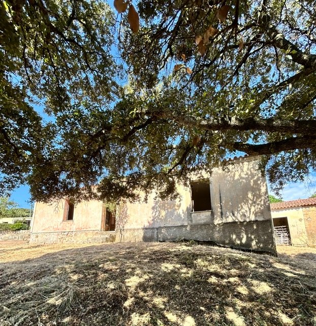 Due Stazzi Galluresi con Lecci Secolari e Vista Collinare – A 20 min da Olbia 7