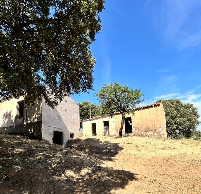 Due Stazzi Galluresi con Lecci Secolari e Vista Collinare β A 20 min da Olbia