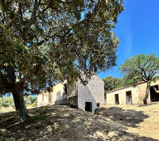 Due Stazzi Galluresi con Lecci Secolari e Vista Collinare – A 20 min da Olbia 8
