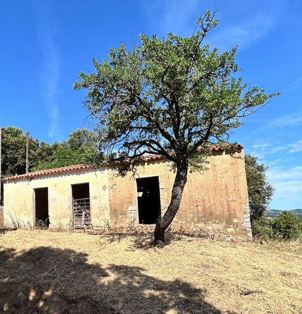 Due Stazzi Galluresi con Lecci Secolari e Vista Collinare – A 20 min da Olbia 9