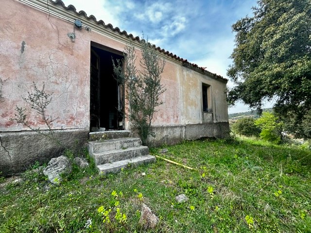 Due Stazzi Galluresi con Lecci Secolari e Vista Collinare – A 20 min da Olbia 15